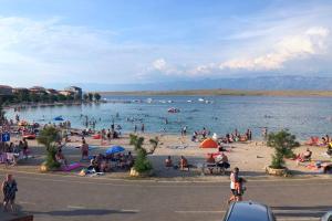 a large group of people on a beach at Apartman Mivela in Vir +4 photos