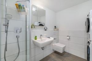 a bathroom with a sink and a toilet and a shower at Apartment Dußlingen in Dußlingen +14 photos