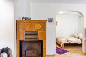 a room with a fireplace and a bed in a bedroom at Ponyhof Kudowa in Sonnewalde