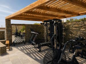 a gym with bikes and a brick wall at Elements Sifnos in Sifnos
