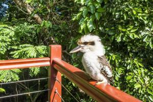 a bird sitting on top of a fence at Magnetic Effect in Arcadia