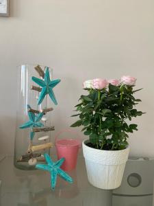 a table with a potted plant and a christmas tree at Potamos Townhouse & Shared Garden in Potamós +18 photos