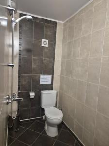 a bathroom with a toilet and a shower at Къща Цачеви 2 in Tryavna