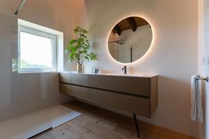 a bathroom with a sink and a mirror at Dimora Riccio in Dalegna del Collio