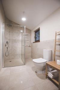 a bathroom with a toilet and a glass shower at Sodyba Pelėdų medus in Vainekoniai +77 photos