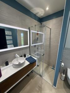 a bathroom with a sink and a shower at Manoir de Cottentray Charming Manor in Avesnes-en-Bray +27 photos
