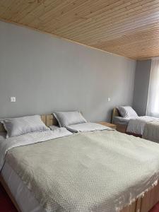 two beds in a room with at Mtisani in Roshka