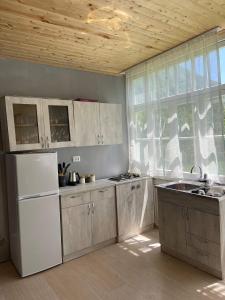a kitchen with a white refrigerator and a sink at Mtisani in Roshka