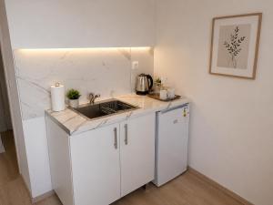 a kitchen with a sink and a counter top at Apartments Marko in Ohrid
