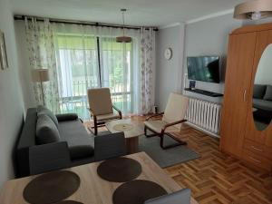 a living room with a couch and chairs and a tv at Willa Anna in Nałęczów