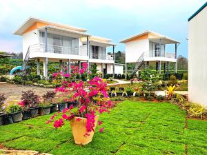 a house with pink flowers in a yard at Doi Luang Vista Homestay in Ban Mae To