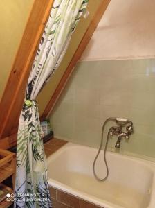 a bath tub with a shower curtain in a bathroom at domek Kaszuby nad jeziorem in Chmielno