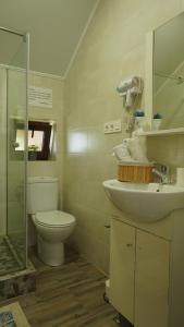 a bathroom with a toilet and a sink at Pensiunea Smiley in Turda +35 photos