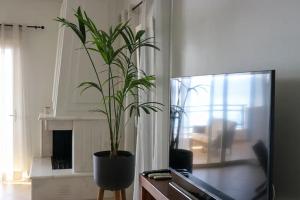 a potted plant sitting on a table in a living room at Grand Bleu Apartments & Villas in Ermioni +135 photos