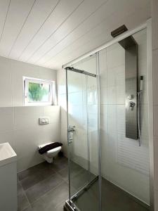 a bathroom with a glass shower and a toilet at Gästehaus Talblick Baiersbronn in Baiersbronn +56 photos