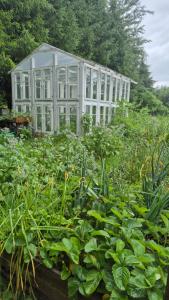 a garden with a white building in the background at Pokój i Spokój Agroturystyka in Zacisze +131 photos