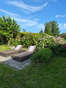 two benches sitting in a garden with flowers at Garden House 1 in Hvaler
