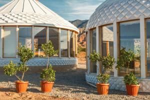 a greenhouse with potted trees inront of it at Casablanca Yurts in Kaji-Say