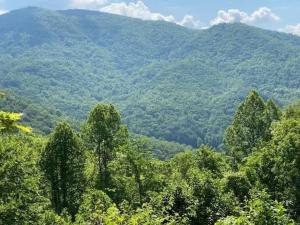 a view of a forest of trees with mountains in the background at Millstone Lodge Cabin in Bryson City