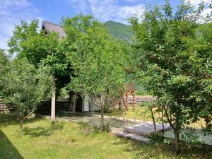 a house with trees in front of it at Blue Eye in Vusanje