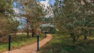 a dirt road in a field with trees at Red Squirrel in St. Andrews