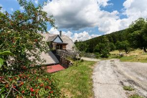 a dirt road next to a house with an apple tree at Chambres d'hôtes, Les Combes in Orbey