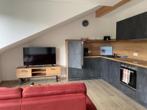 a living room with a red couch and a flat screen tv at Apartment Steinkauz in Vogtsburg +17 photos