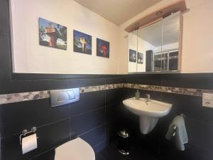 a bathroom with a sink and a toilet and a mirror at Ferienwohnung Haus Hahnfelsblick in Erfweiler