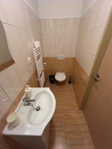 a bathroom with a sink and a toilet at Penzion U Bártů, Dešov in Desov