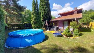 a backyard with a large blue inflatable pool at Zacisze in Uście