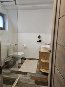 a bathroom with a toilet and a sink at Plai cu dor - Brebu in Brebu Mînăstirei +33 photos