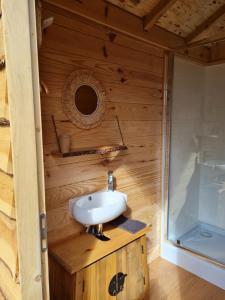 a bathroom with a sink and a shower at L'écureuil perché in Apt