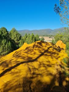 a shadow of a tree on a large rock at L'écureuil perché in Apt +1 photo