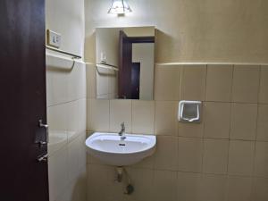 a bathroom with a sink and a mirror at Bluemoon Hotel in Cochin