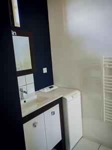 a bathroom with a sink and a mirror at Studio indépendant tout équipé proche circuit des 24 Heures in Teloché +8 photos