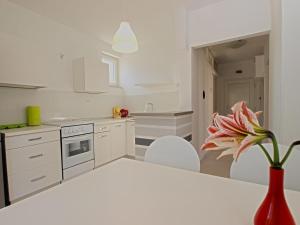 Kuchyňa alebo kuchynka v ubytovaní Apartments Dario 1104 + 18 fotografií