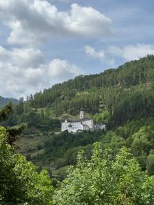 a house on the side of a hill with trees at Lapis Monti Apartments & Suites in Burgusio