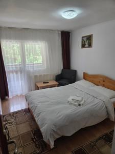 a bedroom with a large bed and a chair at Pensiunea Flora TransFăgărășan in Cumpăna