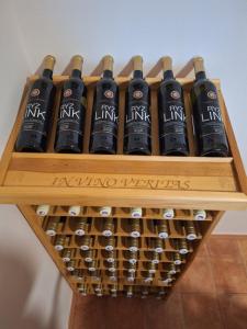 a wine rack filled with lots of wine bottles at PoBytPodivín in Podivín