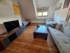 a living room with a couch and a flat screen tv at PoBytPodivín in Podivín