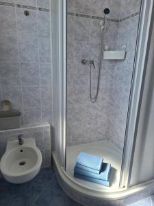 a bathroom with a shower and a toilet at PoBytPodivín in Podivín +11 photos