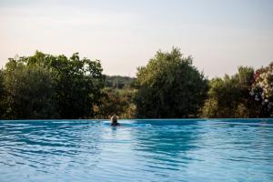 a person swimming in a pool in the water at Casale del Murgese Country Resort in Savelletri di Fasano