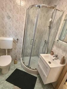 a bathroom with a shower and a toilet and a sink at Studio Babji zob in Bohinjska Bela