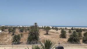 a car driving through a palm tree plantation at Résidence PHILA Djerba in Djerba