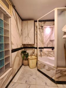 a bathroom with a shower and a potted plant at suites in cairo downtown in Cairo +84 photos