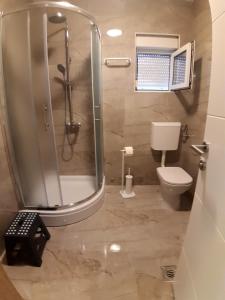 a bathroom with a shower and a toilet at Apartmani Saric A&K in Vir +73 photos