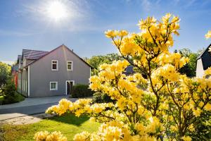 a yellow bush in front of a house at Ferienhaus Bimmelbahn 2 - Familienferienhaus 100 m am Dampflokbahnhof Sauna Trampolin Spielezimmer in Olbersdorf