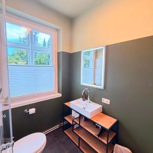 a bathroom with a sink and a toilet and two windows at HYGGE HOMES Apartment - 'nordlys' in Lüneburg +45 photos