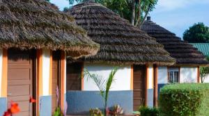 a couple of huts with thatched roofs at Palm Garden Guest House in Gulu