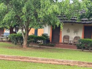 a house with two chairs and a tree at Palm Garden Guest House in Gulu +12 photos